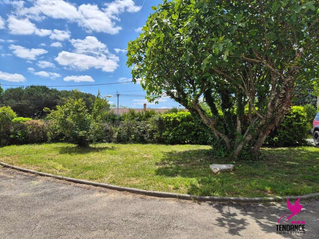 Maison à CASTELNAU-D&#039;ESTRETEFONDS