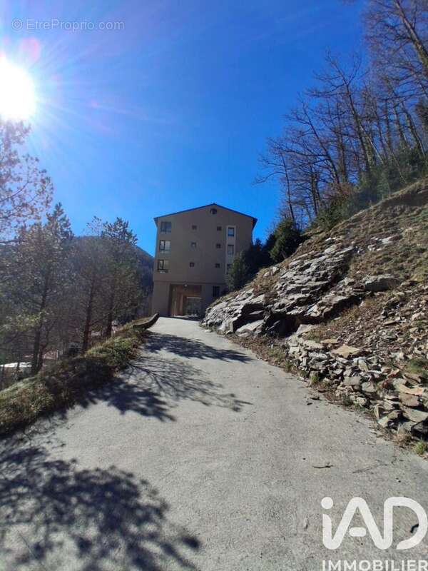 Photo 7