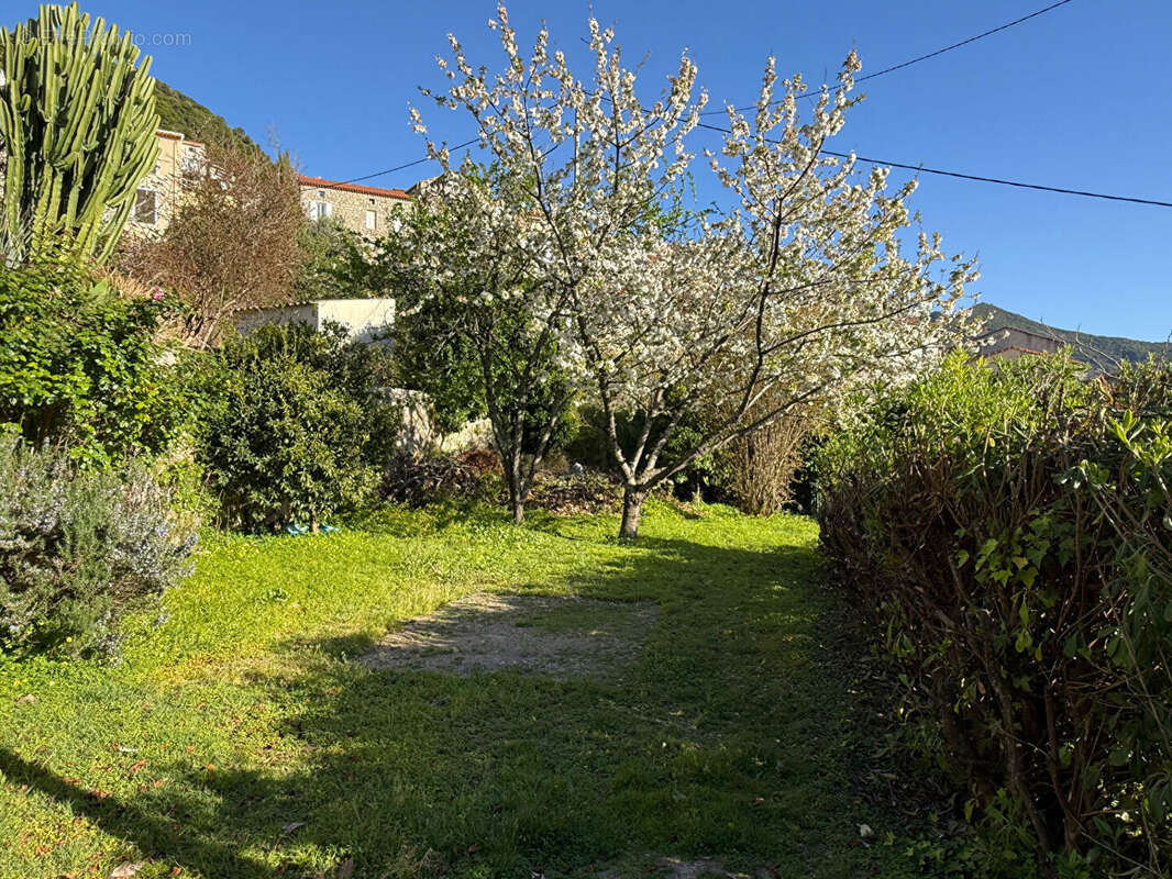 Appartement à SARI-D'ORCINO