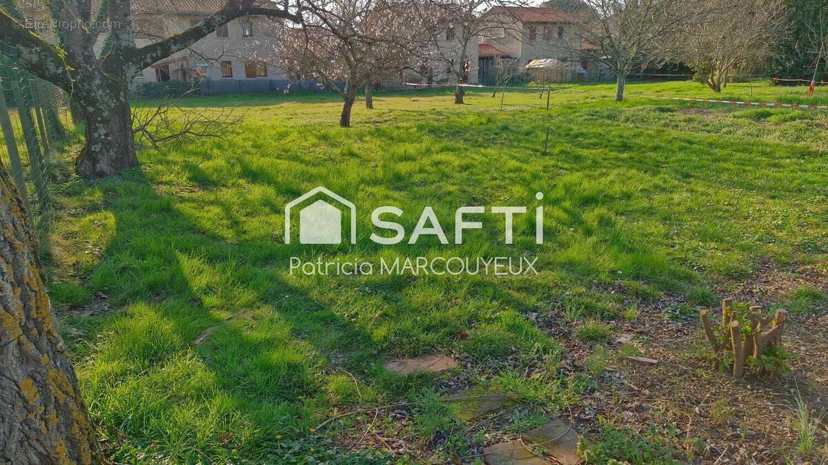 Photo 1 - Terrain à LABEGE