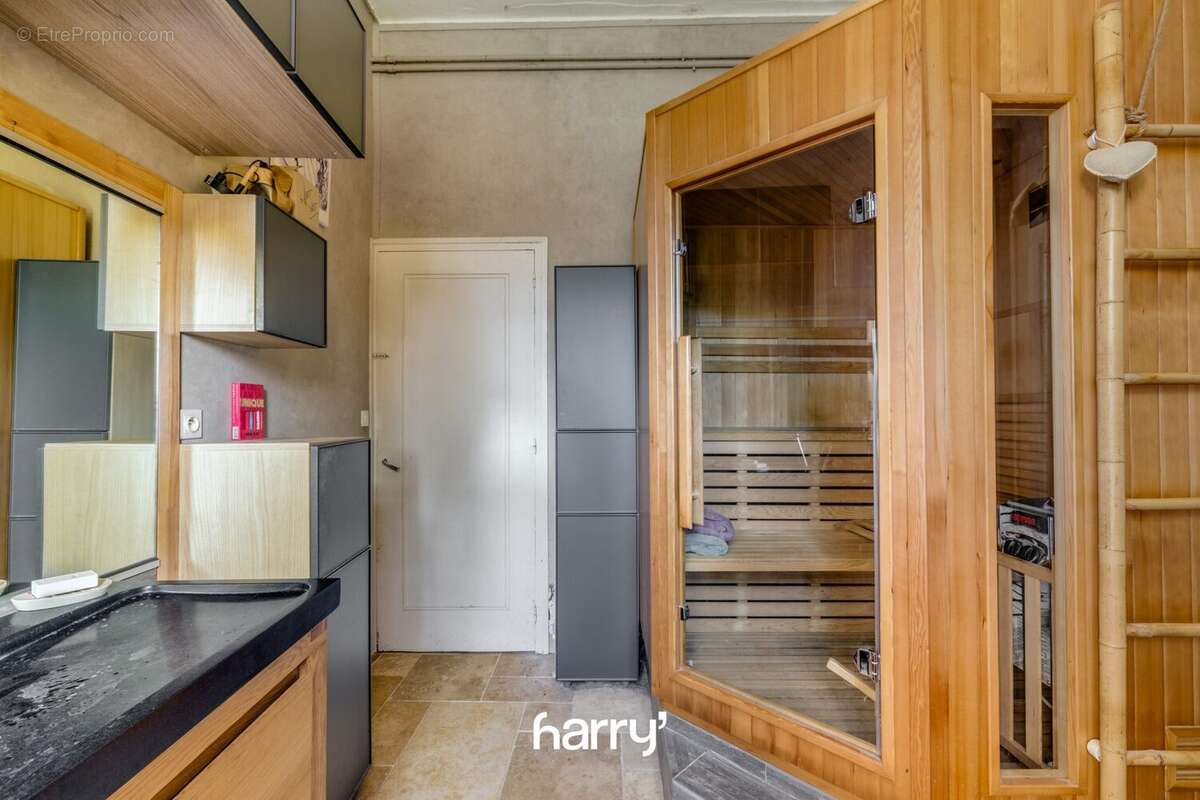 Maison 355 m² à Palise  - photo 2