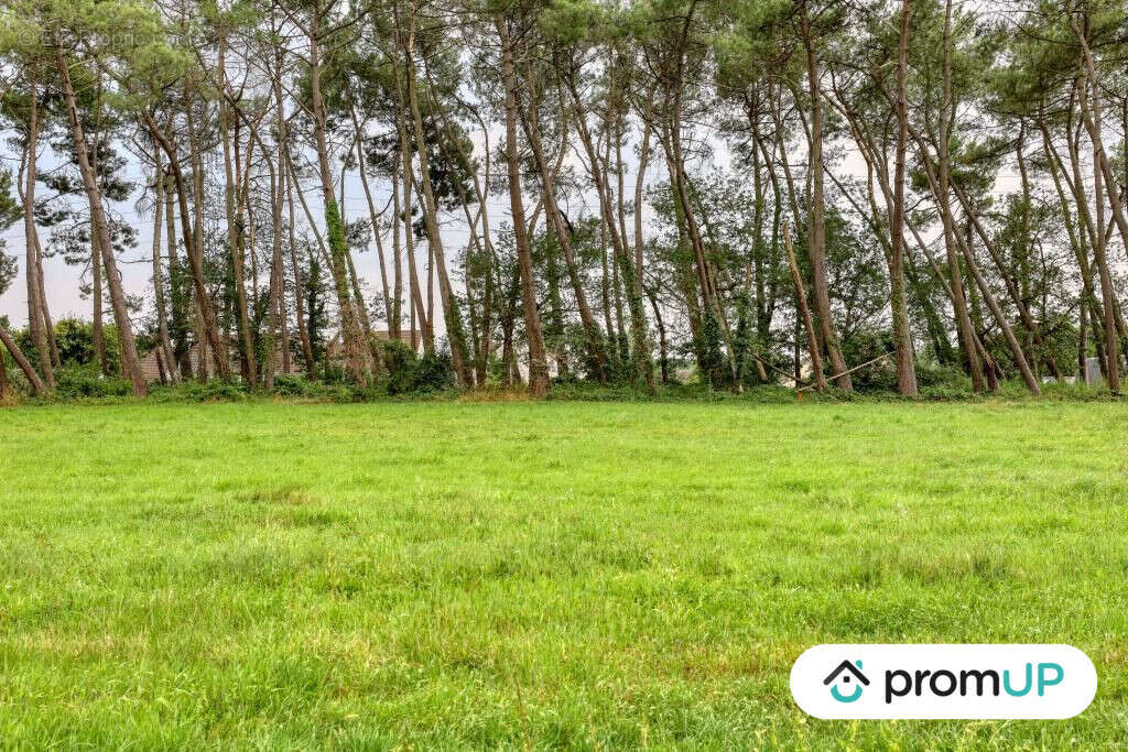 Terrain à SAINT-MARS-LA-BRIERE