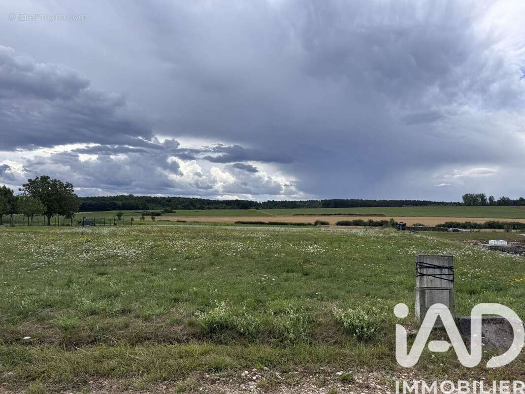 Photo 7 - Terrain à REHAINCOURT