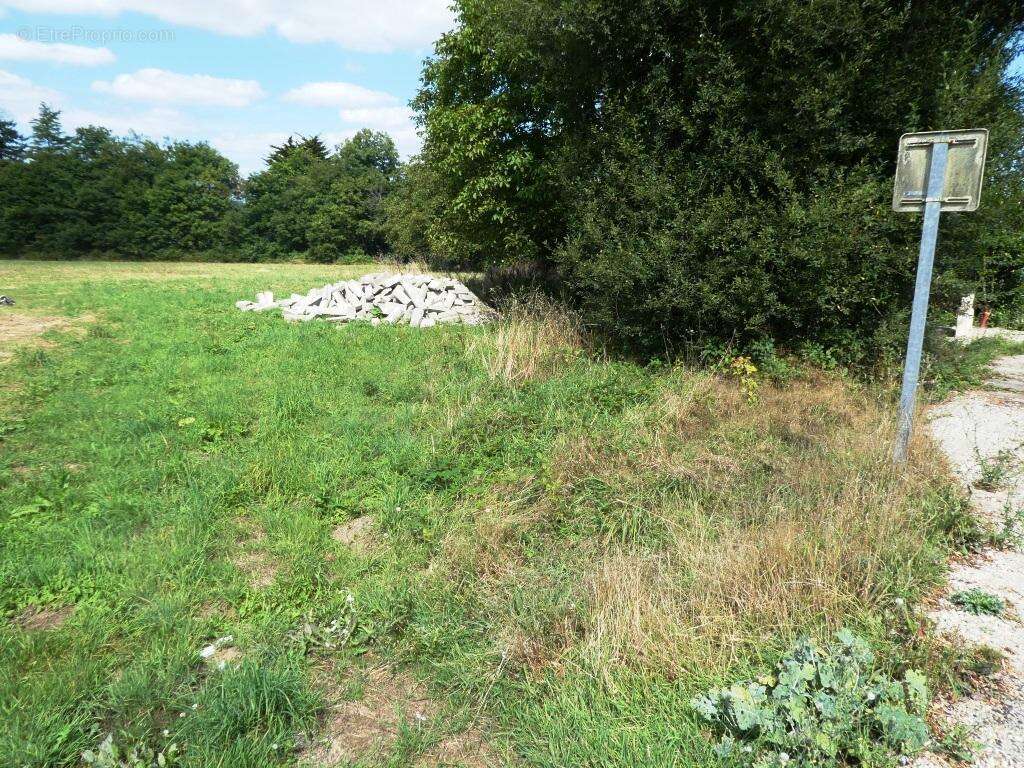 Terrain à bâtir - photo 2