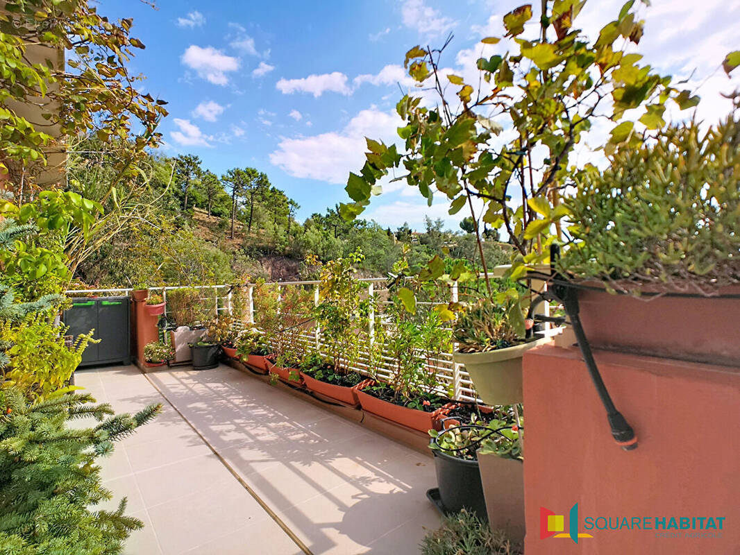 Appartement à THEOULE-SUR-MER