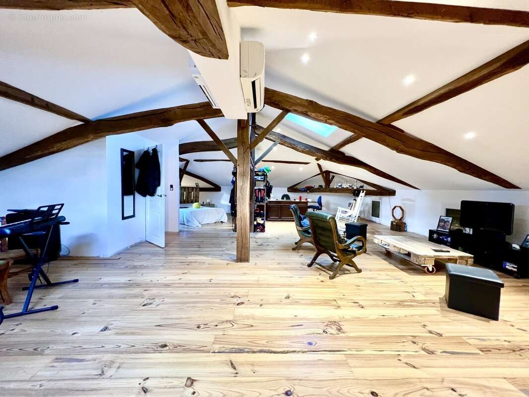 Maison 6 pièces 253m² - 5 chambres - Ancien chai - Bodega - Terrain 20 000m² - SAINT SEVER (40) - photo 6