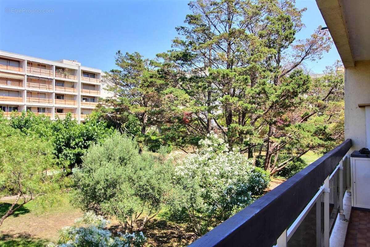 T3/balcon-terrrasse/pointe rouge marseille - photo 4