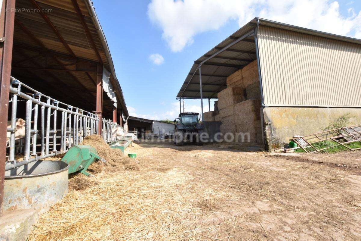 Maison à vendre 5 pièces DOMAIZE (63) - photo 4