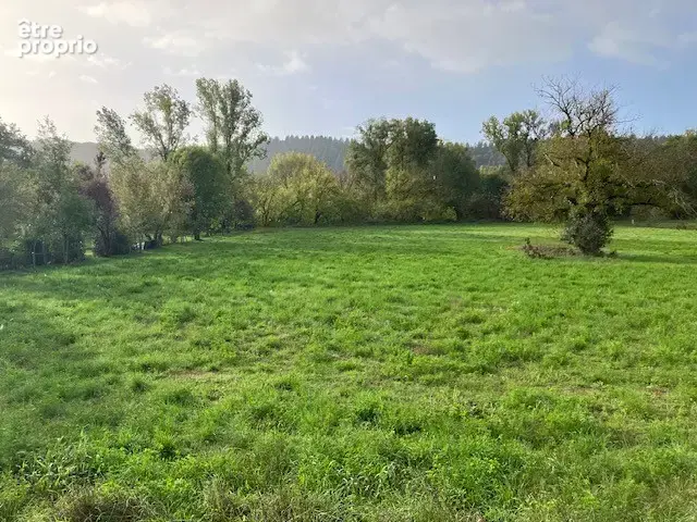 Terrain en bord de la Dordogne à Pechs-de-l'Espérance - 6370m2 - photo 3
