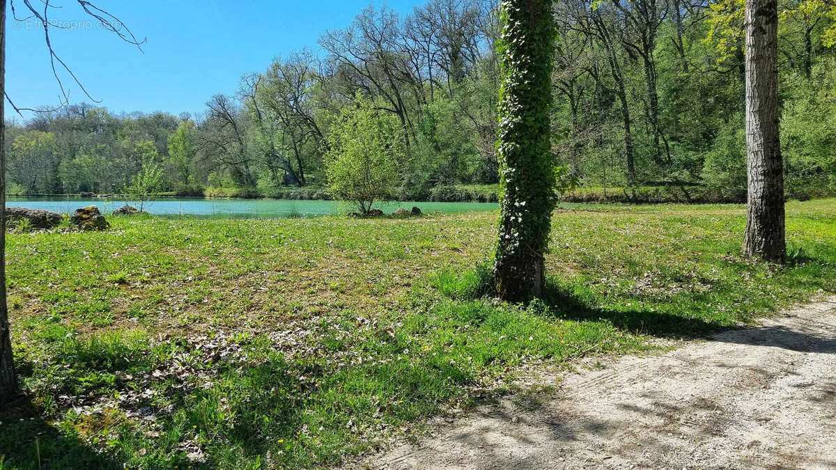 Très beau château datant du XVI ème entièrement rénové au milieu de 50 hectares et ses trois lacs situé dans l - photo 74