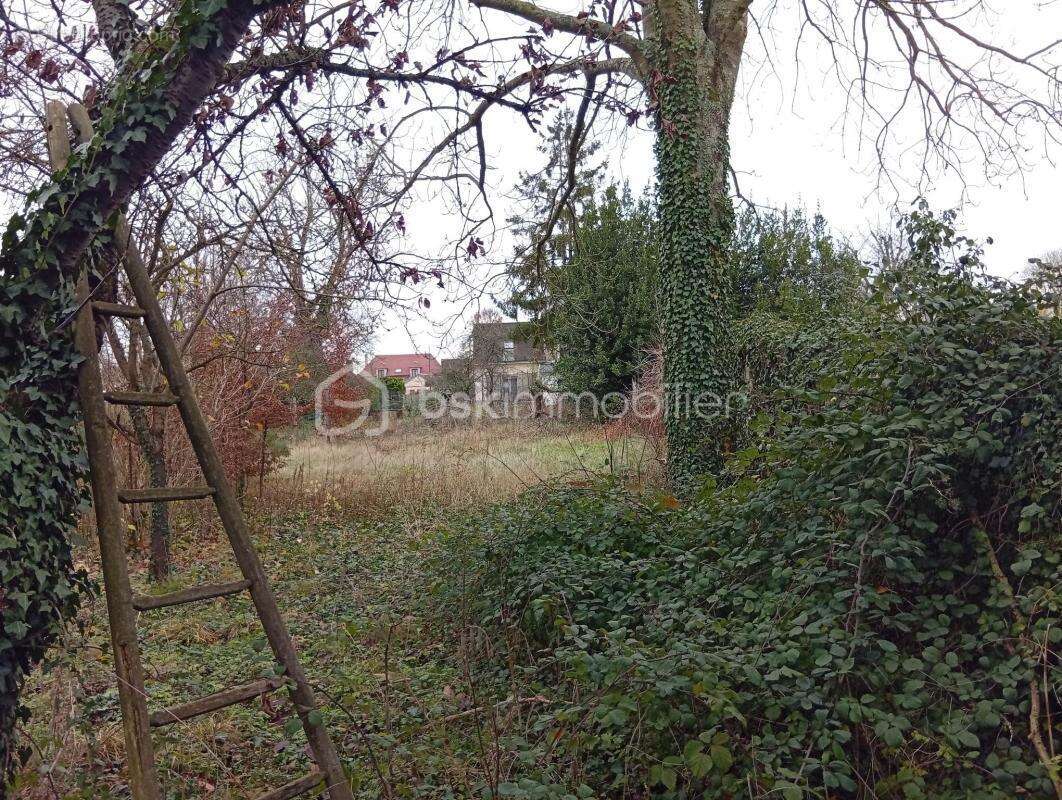 Terrain à SAINT-CREPIN-IBOUVILLERS