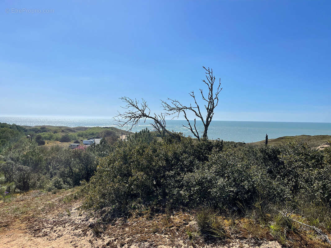 Maison Saint Georges d Oleron 2 pièces 27,62 m² (loi Carrez) - photo 18
