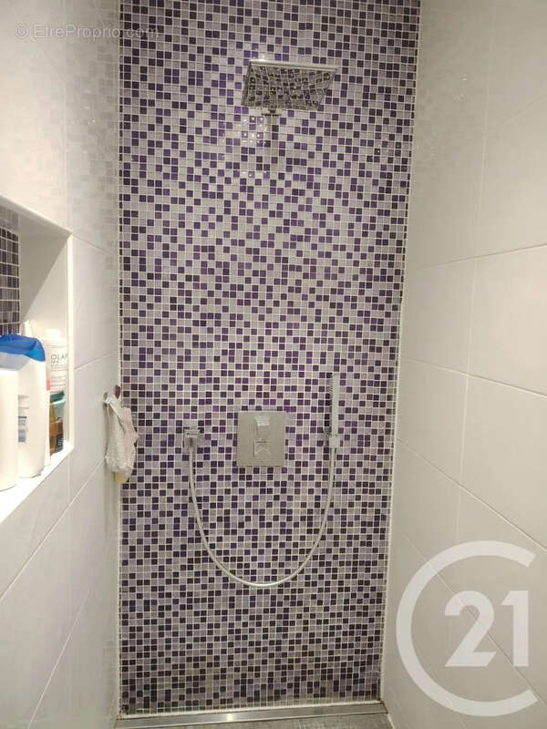 Maison 288 m² à Heyrieux  - photo 16