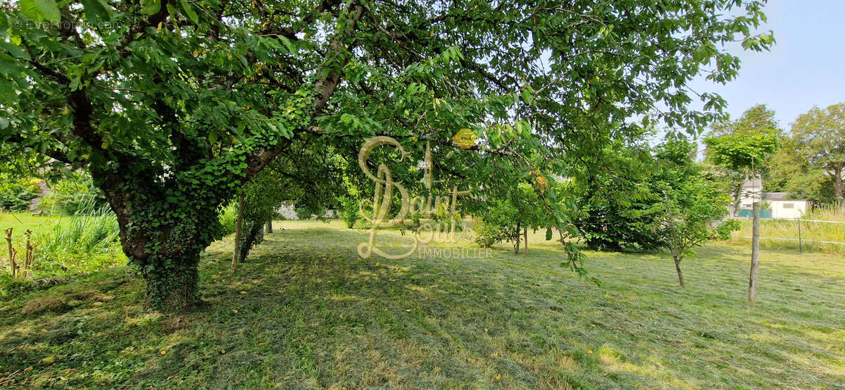 Terrain à CHAMPIGNY-SUR-VEUDE