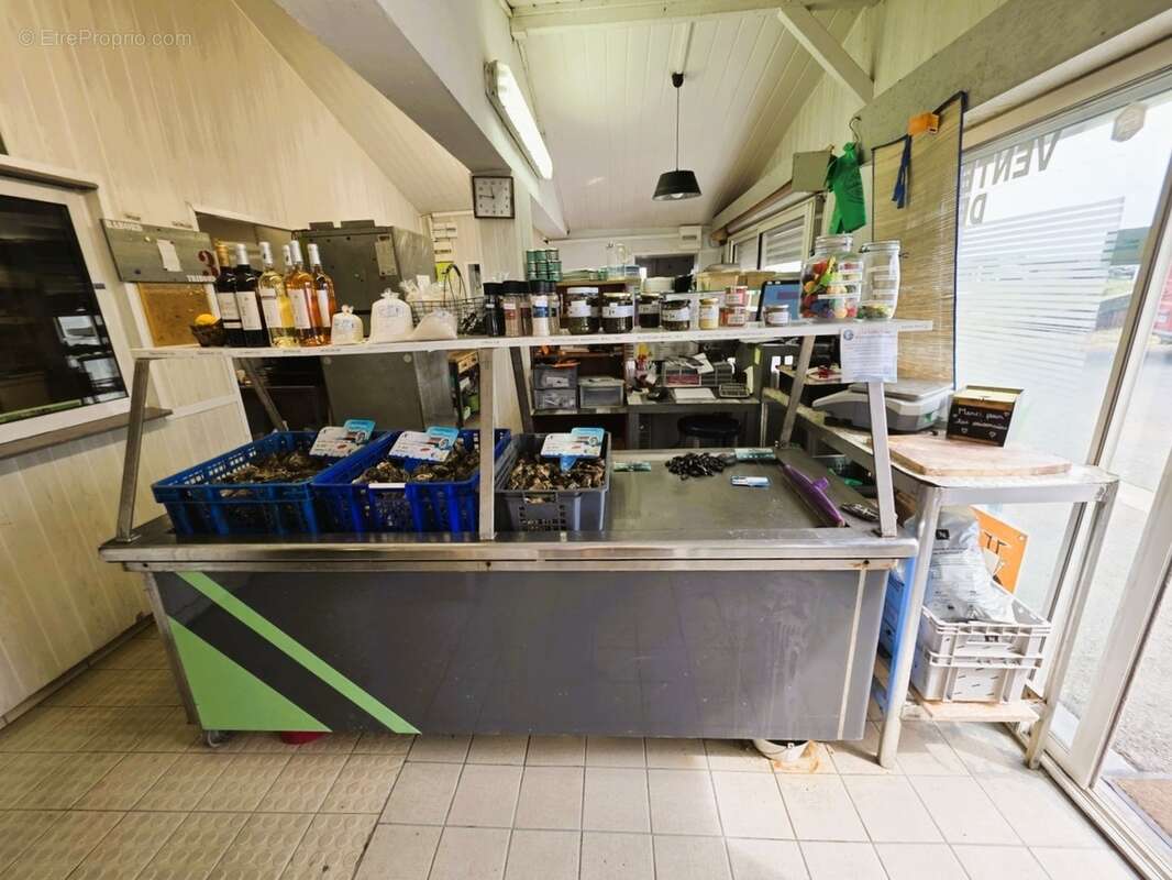 ILE D'OLÉRON emplac N°1, AV Murs 321m², marais 1,2ha et Fonds aquacole de production & dégustation de fruits de mer - photo 2