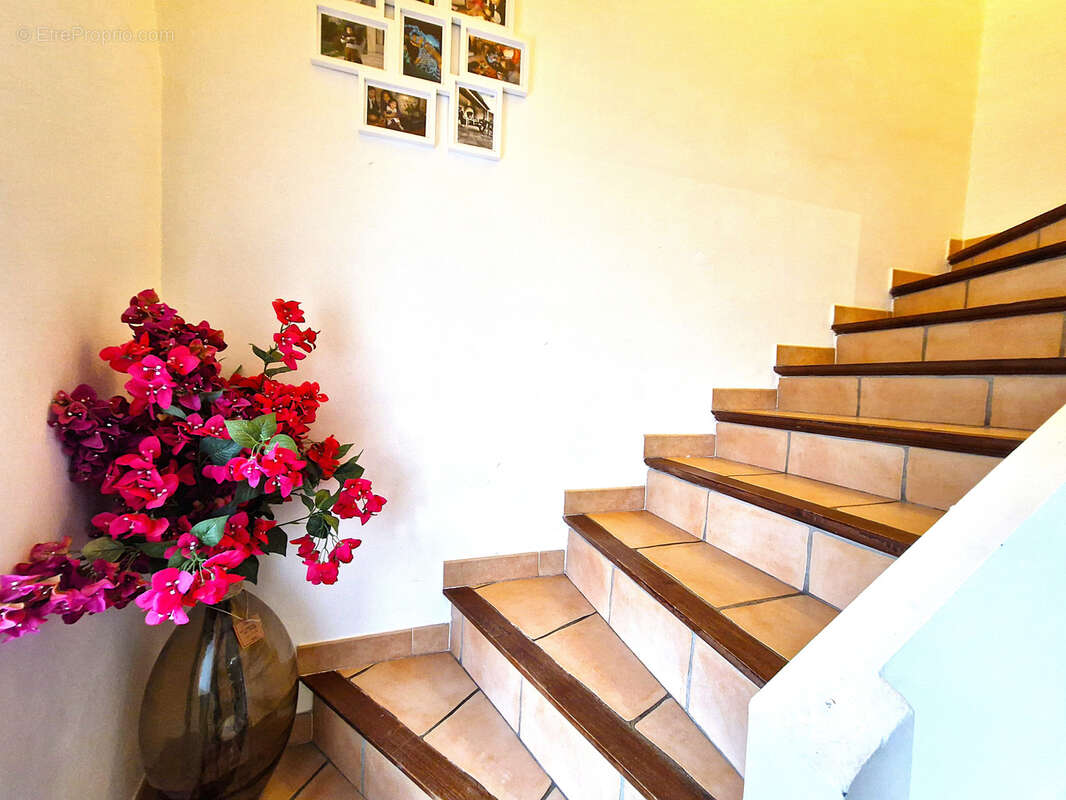 Appartement à SOLLIES-PONT