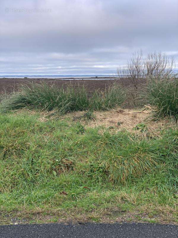 Terrain à GUJAN-MESTRAS