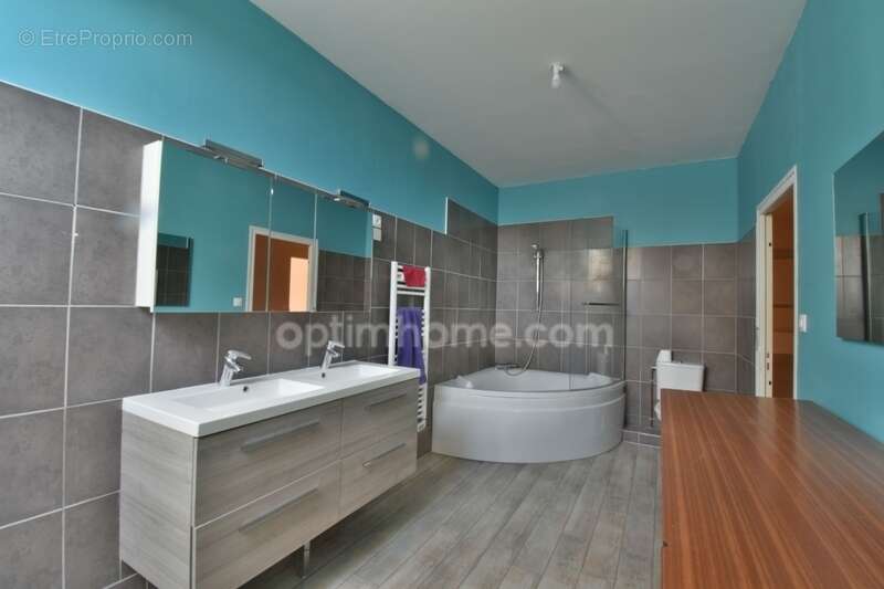 Maison à ARGENTON-SUR-CREUSE