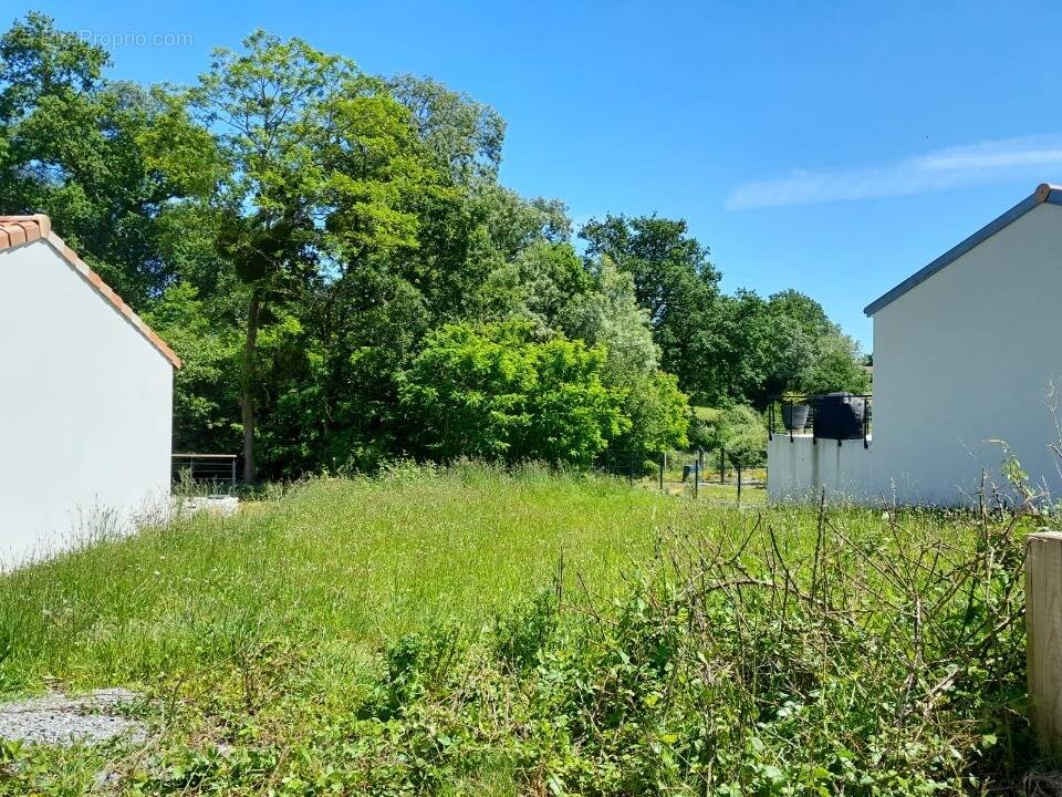 Photo Terrain à Rouans au prix de 77 000€