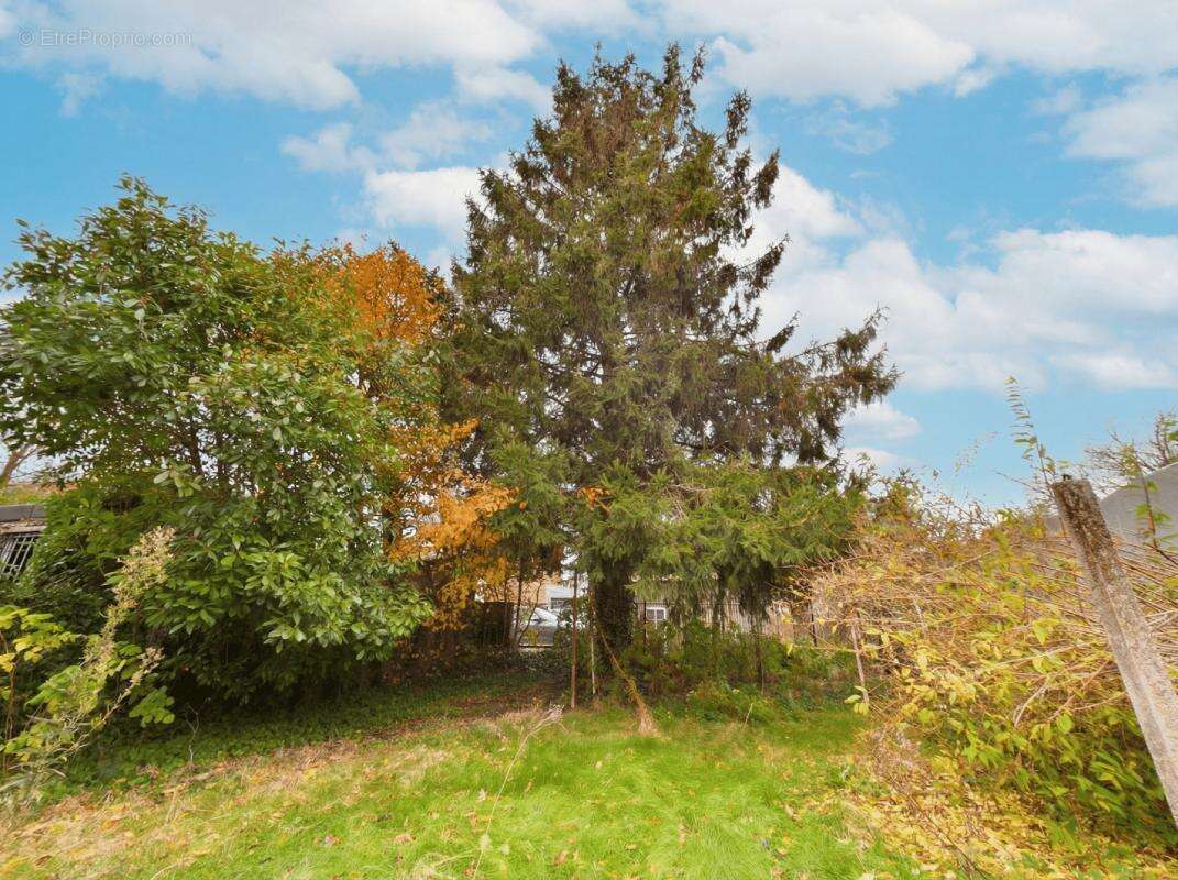 Maison à SAINT-SAULVE