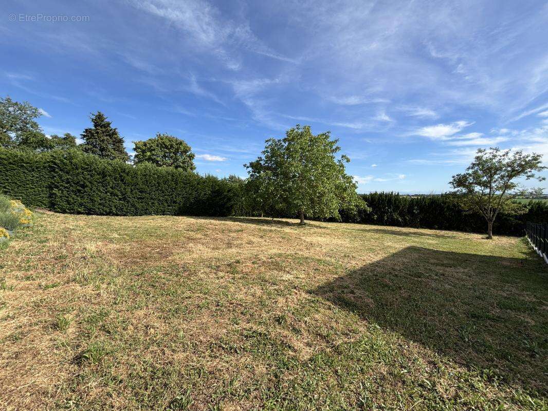 Terrain 1 150 m² à vendre à Lavalette (31590) - photo 3