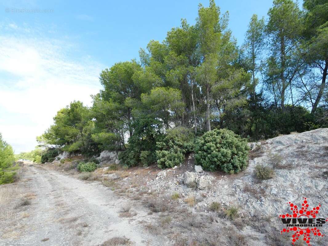 Terrain à QUARANTE