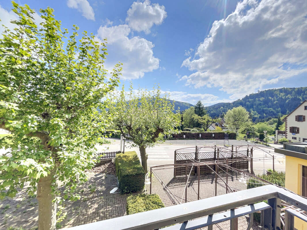 Commerce à WANGENBOURG-ENGENTHAL