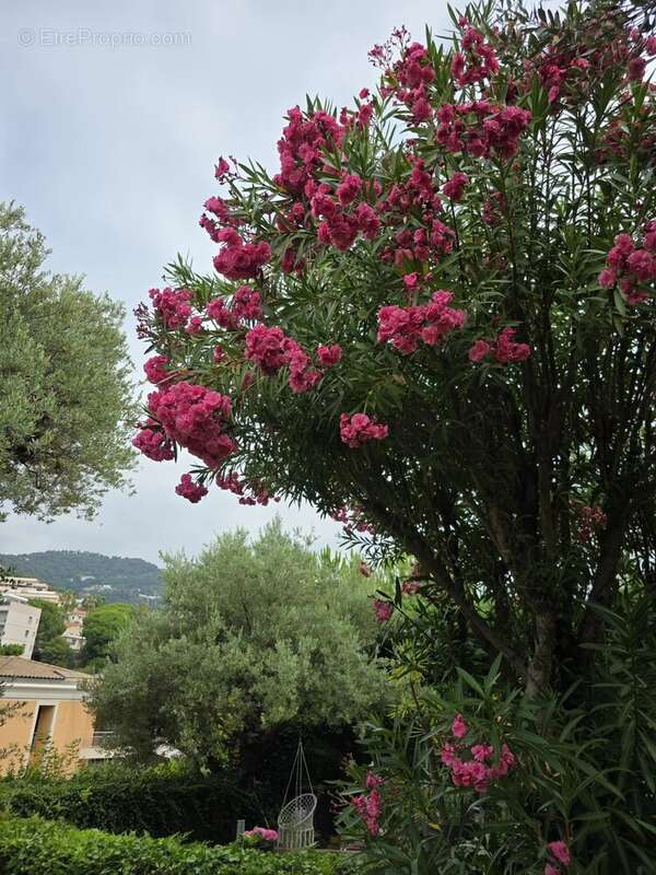 Appartement à ROQUEBRUNE-CAP-MARTIN