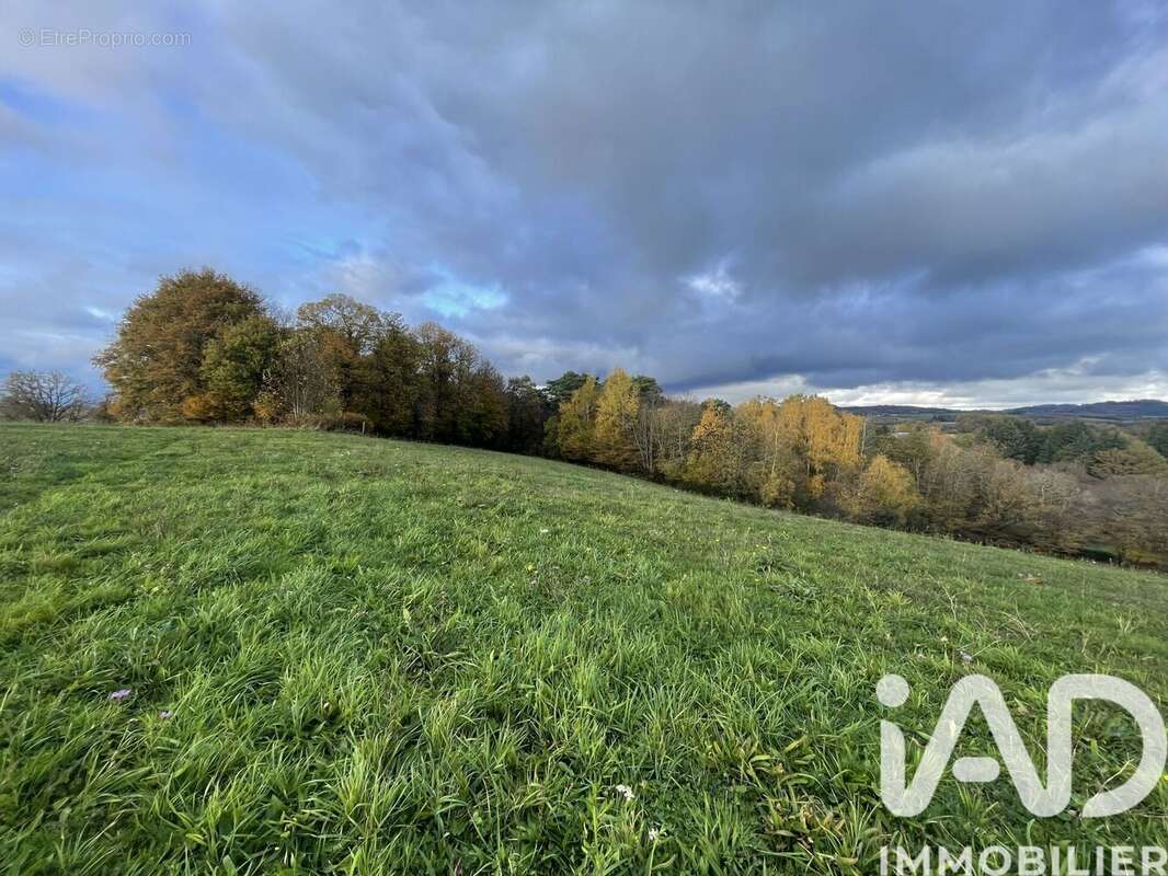 Terrain 53431 m² à Neuvic-Entier  - photo 3