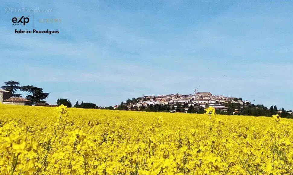 Maison à MONFLANQUIN