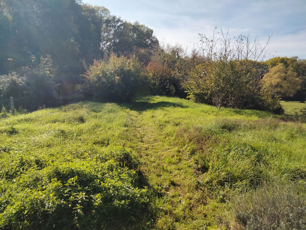 Maison à SAINT-BENIN-D&#039;AZY