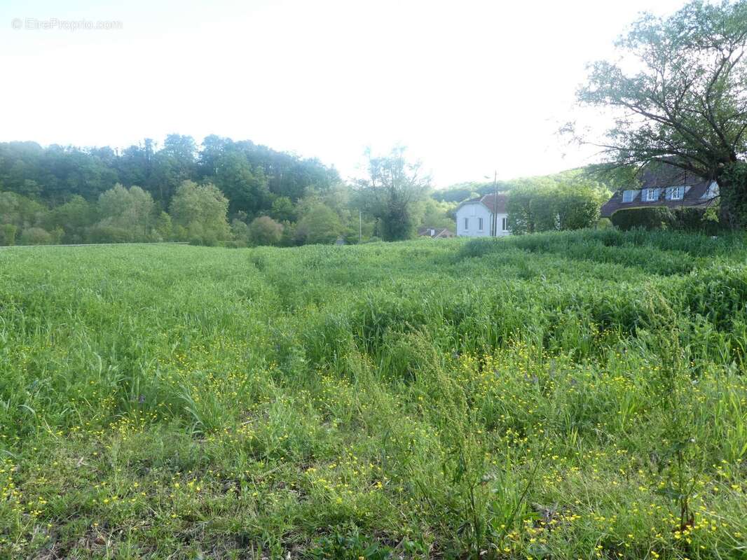 Terrain 700 m² à Salies-De-Bearn  - photo 2