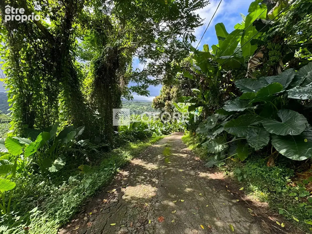 A vendre : Terrain 8505 m² au Lorrain - photo 2