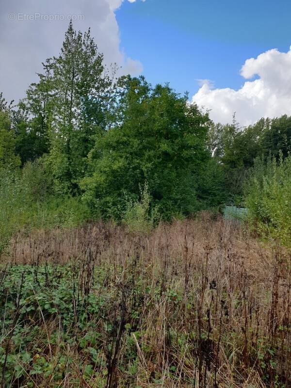 Terrain à LA COMTE