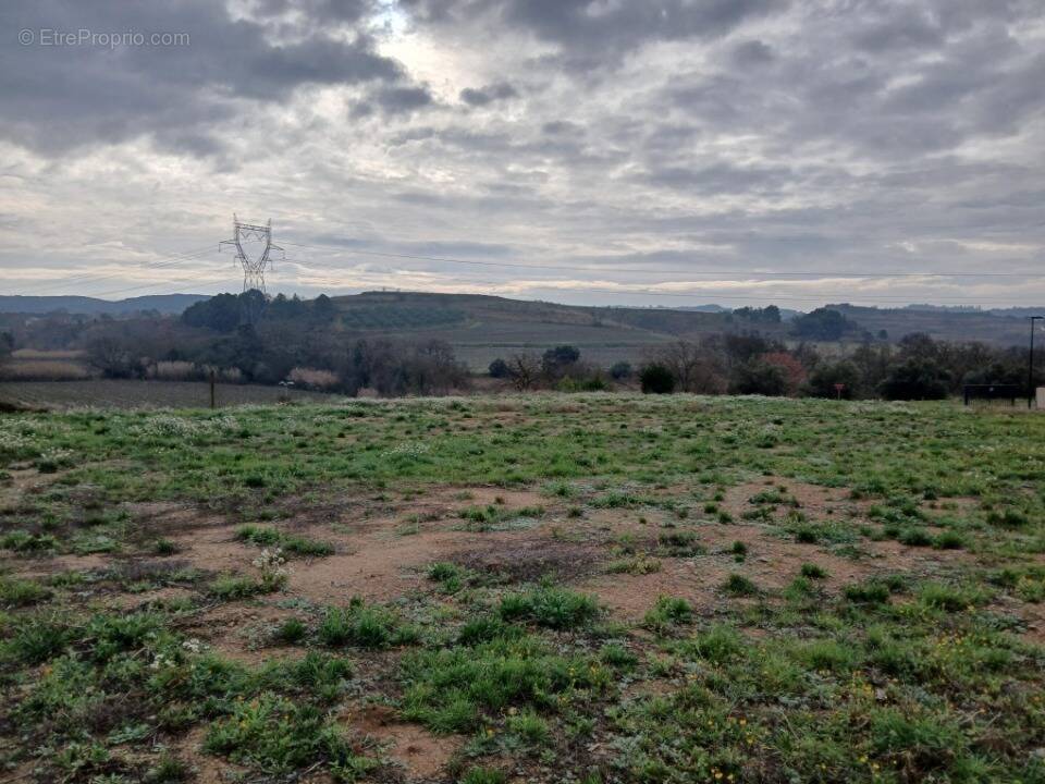 Terrain à SAINT-BRES