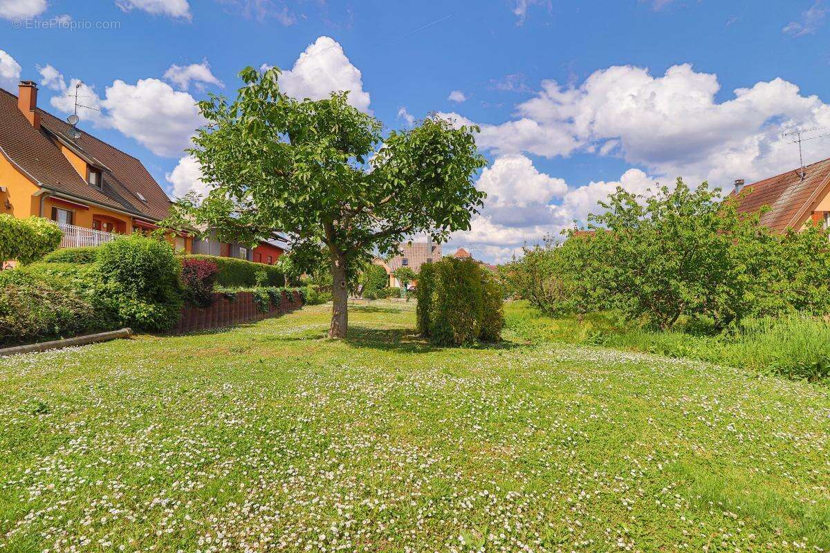 Terrain à HATTSTATT