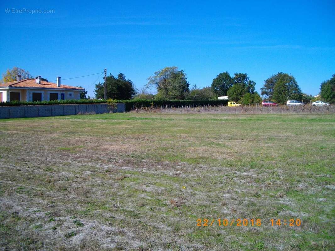 Terrain constructible de 6977 m2 - photo 6