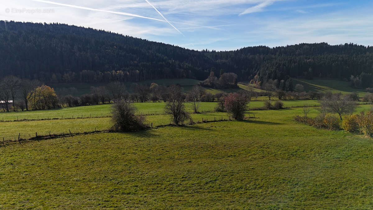 Terrain à FOURNETS-LUISANS