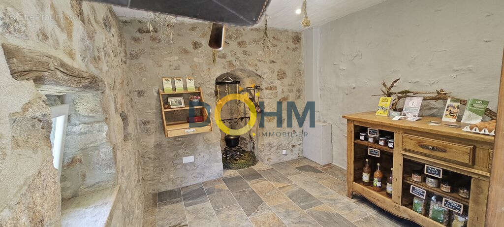 VAUDEVANT (Ardèche) - Propriété de charme avec deux maisons, gîte indépendant, bâtiment  professionnel, et ter - photo 12
