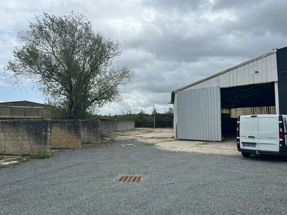 Commerce à SAINTE-EULALIE