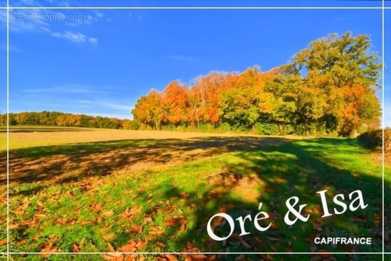 Terrain à SAINT-DESIRE