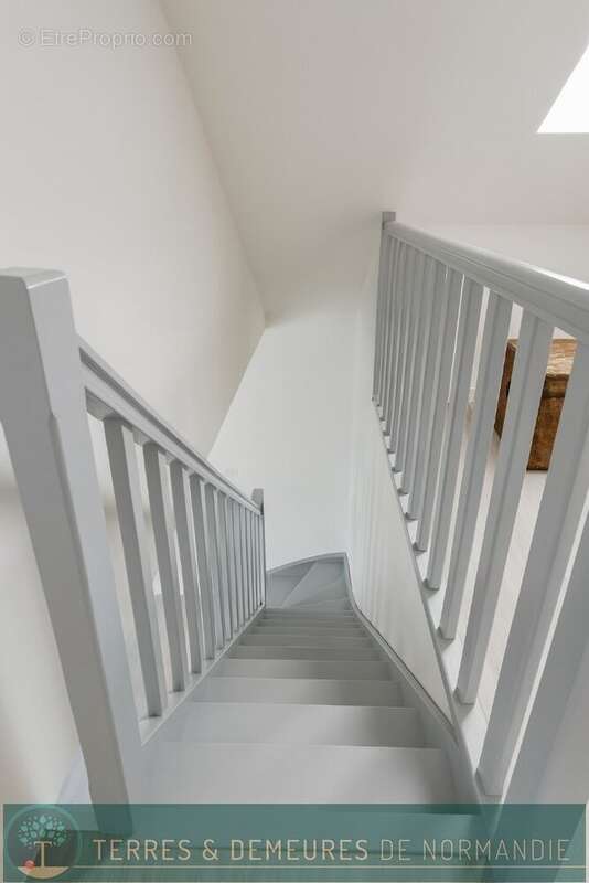 Maison à SASSETOT-LE-MAUCONDUIT