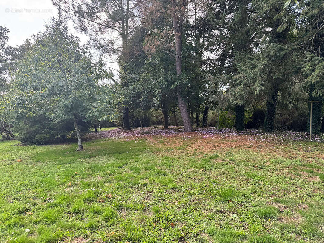 Maison à SAINT-JULIEN-DES-LANDES