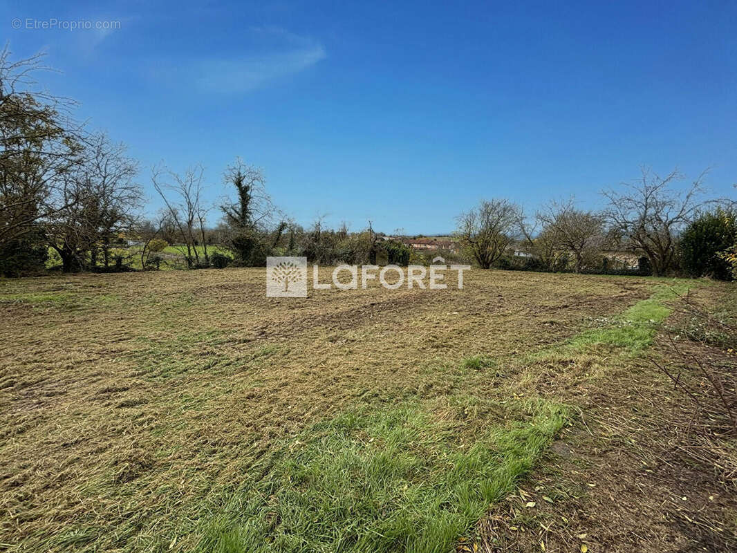 Terrain à MISERIEUX