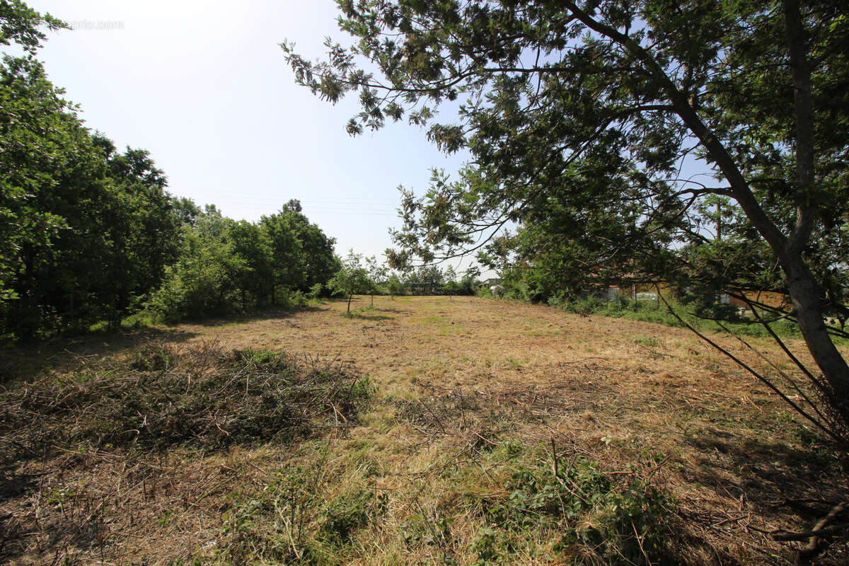 Ideal investisseur, terrain constructible de 1014m2 avec tae. - photo 3