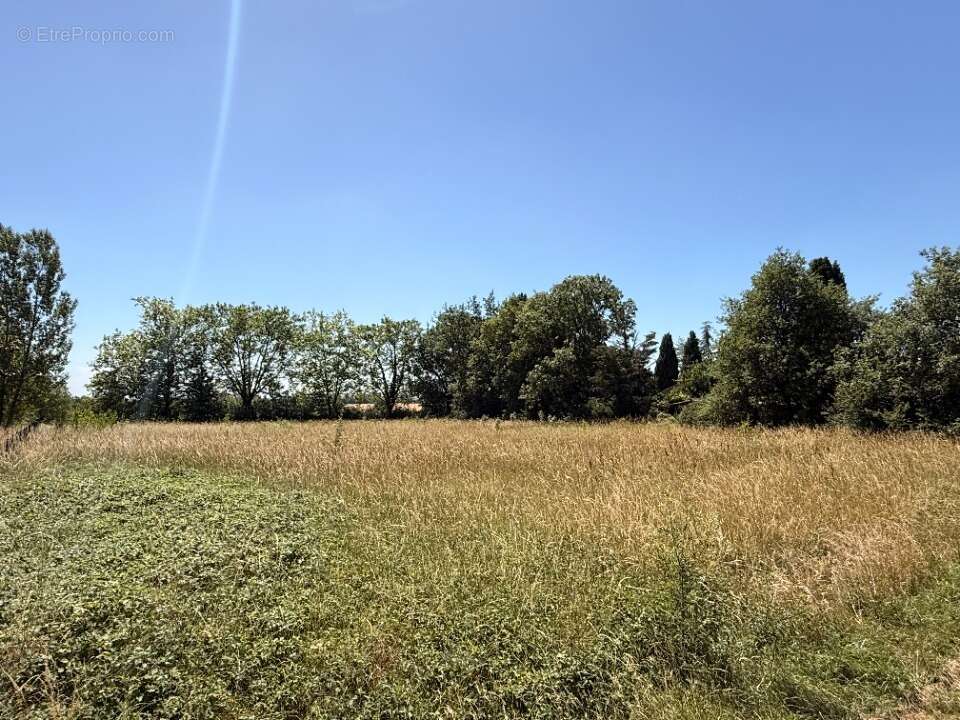Terrain 3205 m² à Garrevaques  - photo 2