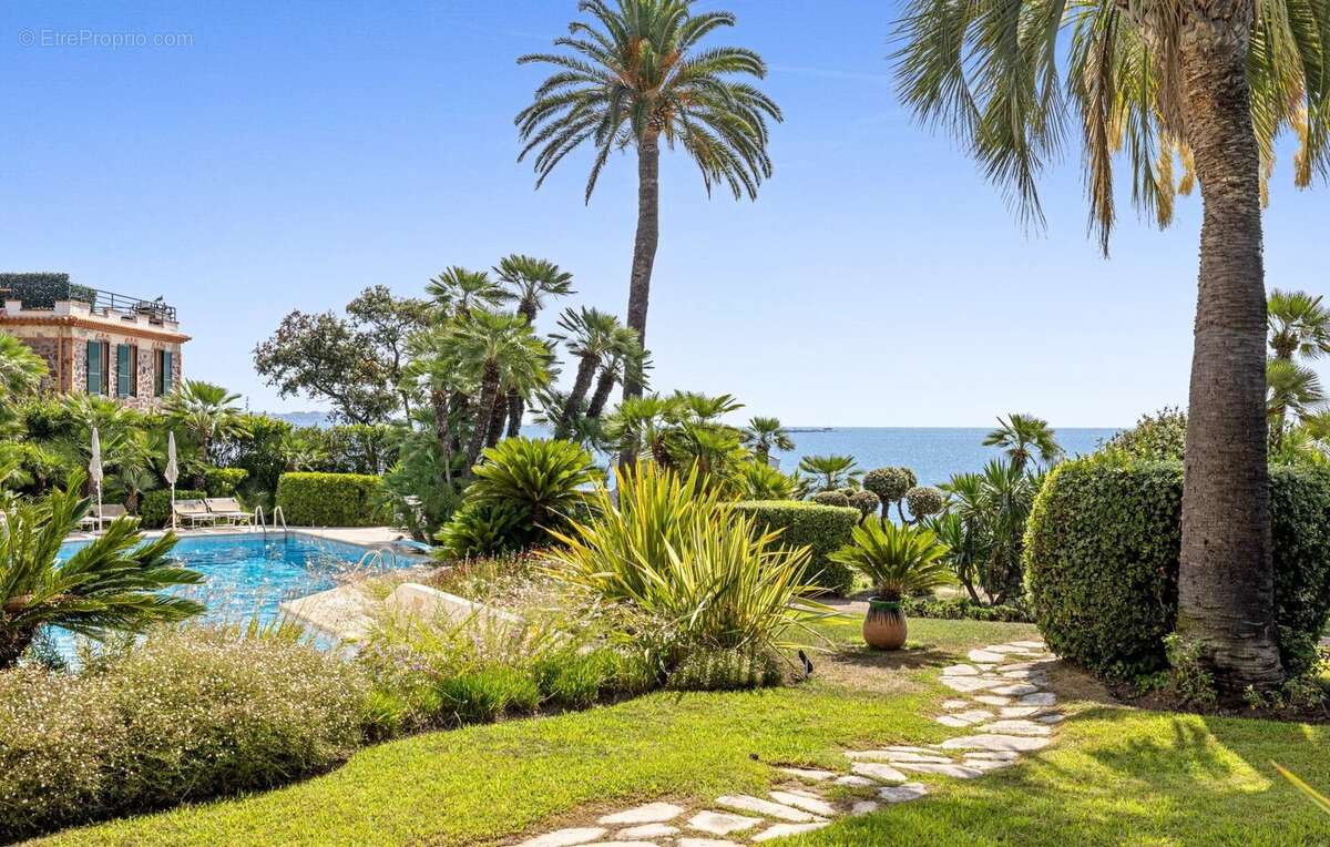 Cannes - palm beach - 3 pieces 54 m² - terrasse 80m² - vue mer - piscine - parking - photo 20