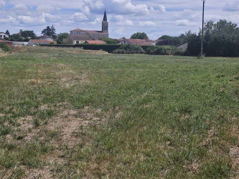 Terrain à CHALAIN-LE-COMTAL