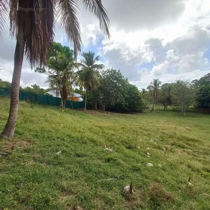Terrain à LE GOSIER
