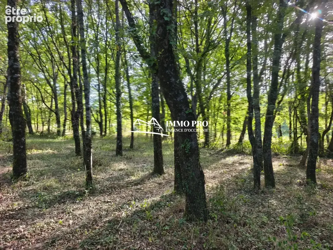 LE FOUSSERET   Villa de 2001 sur 1.4 hectare - photo 4